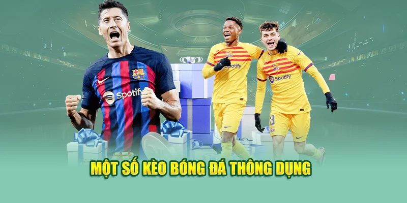 Tỷ Lệ Kèo Là Gì? Chia Sẻ Thủ Thuật Đọc Kèo Từ Chuyên Gia 2 Một số tỷ lệ kèo bóng đá thông dụng
