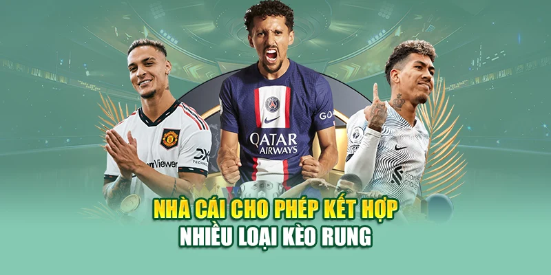 Cược Rung – Chiến Lược Lật Kèo Phút Cuối Tại 79king 3 Nhà cái cho phép kết hợp nhiều loại kèo rung